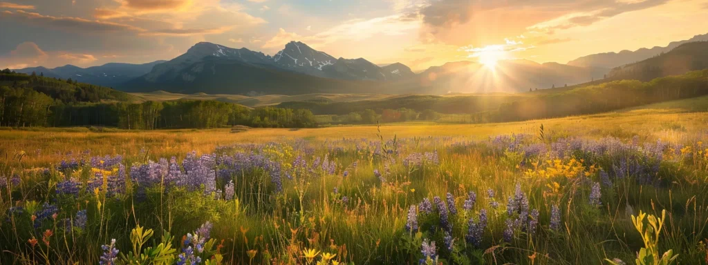 Caring for Your Car Interior: Dashboard Cleaning Essentials